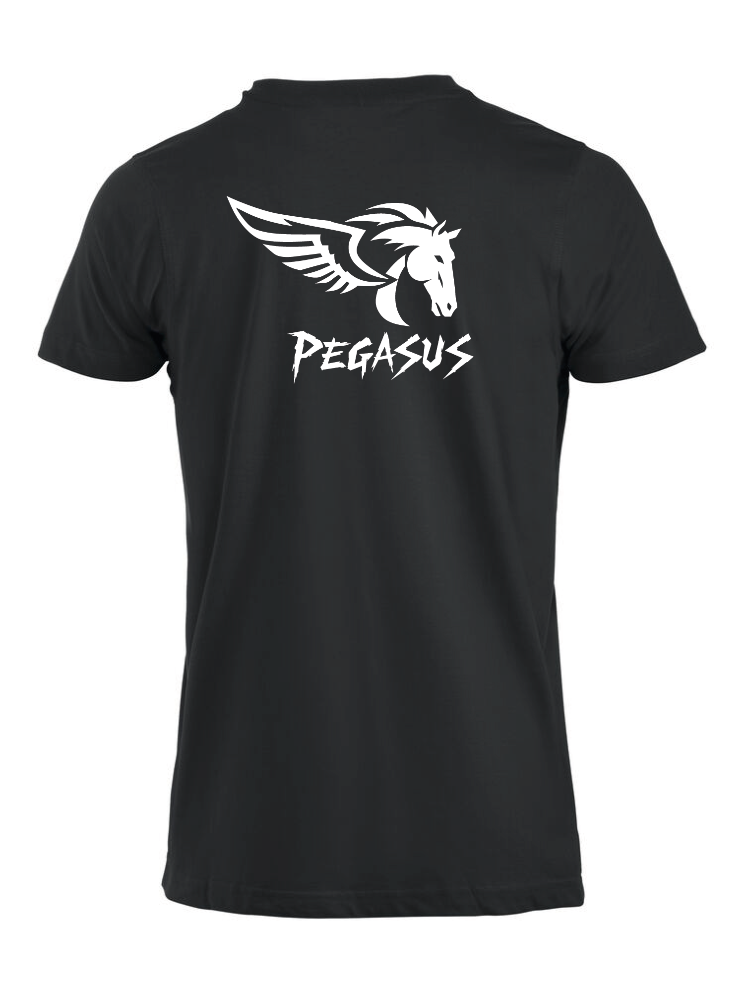 Herren Pegasus T-Shirt